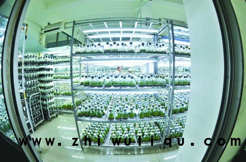 萧山将构建生物医药农业生物两大核心区